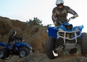 Yamaha Wolverine 350 Yamaha Wolverine 350